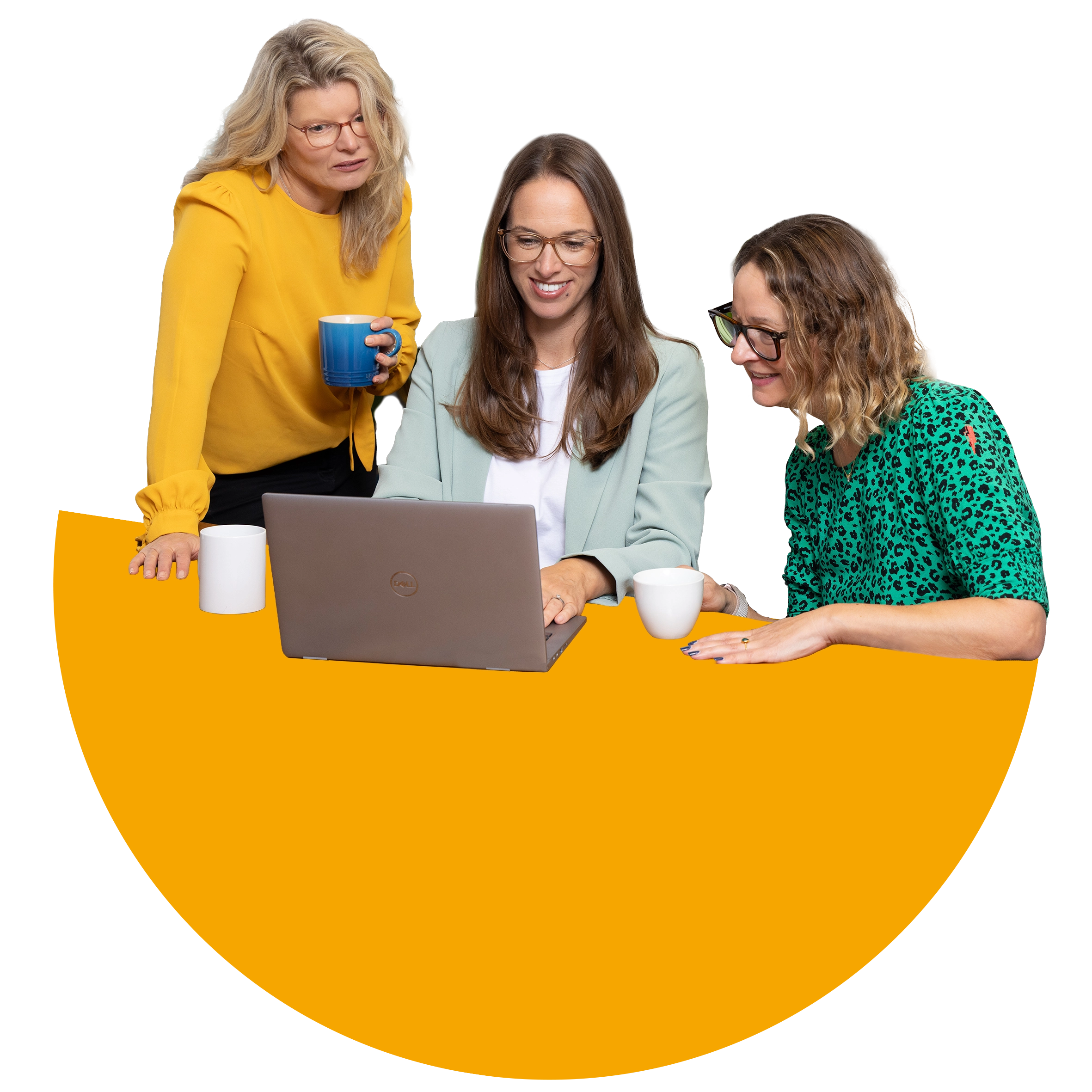 Fruit_Marketing_Team